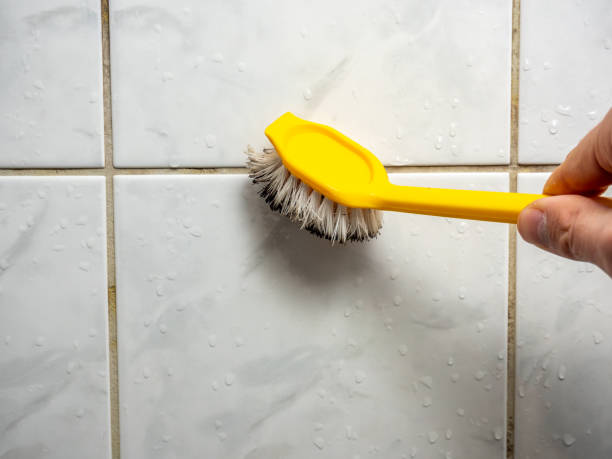 Best Commercial Mold Removal  in Parkland, WA