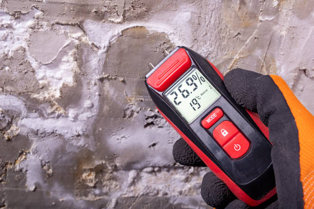 Best Mold Testing  in Parkland, WA