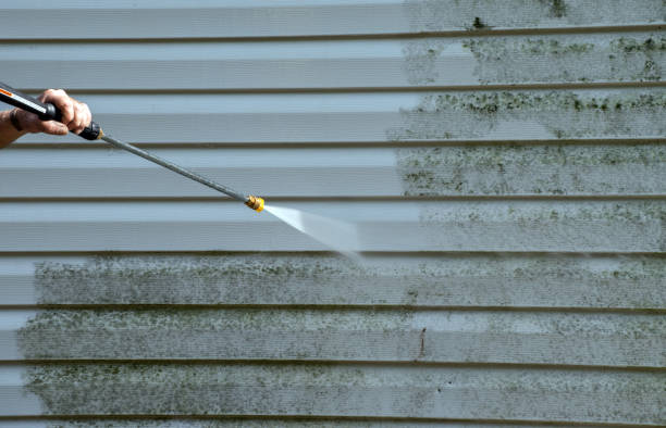 Best Office Mold Removal Services  in Parkland, WA