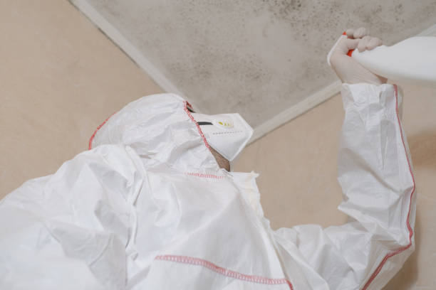 Best Mold Remediation  in Parkland, WA