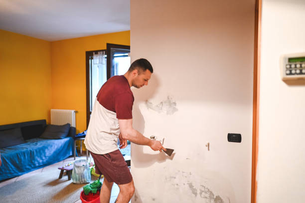 Best Mold Cleaning Services  in Parkland, WA