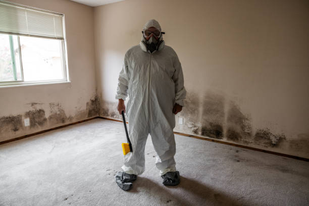 Best Certified Mold Removal  in Parkland, WA